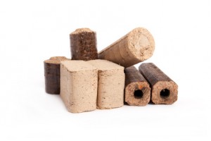 different kind of firewood briquettes, white background, isolated,